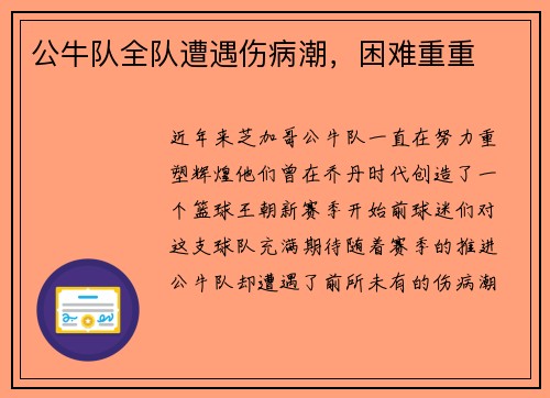 公牛队全队遭遇伤病潮，困难重重